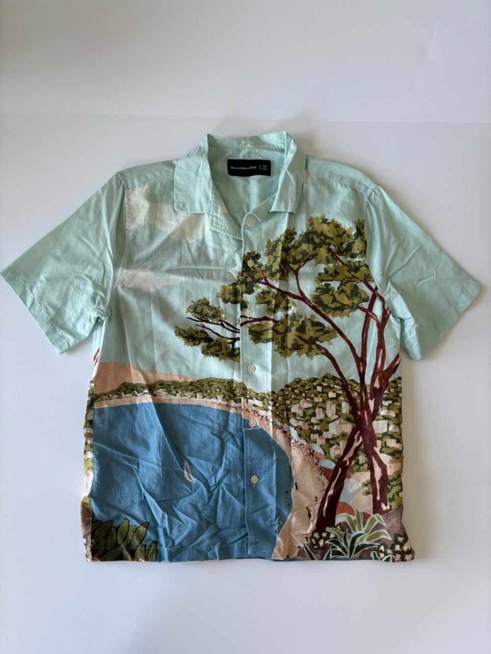 Abercrombie & Fitch Mint Beach Scene Button-Down Shirt